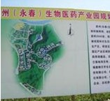 泉州永春生物醫(yī)藥產(chǎn)業(yè)發(fā)展規(guī)劃