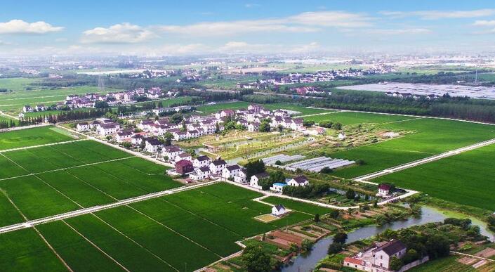 目前東莞市已經初步搭建起“1+1+N”的鄉村振興政策體系