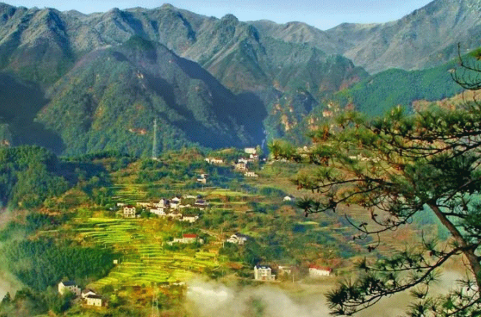 區域鄉村振興規劃內容,區域鄉村振興規劃重點