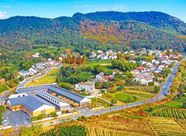 鄉村產業振興規劃的思路是什么？從這五個方面入手！