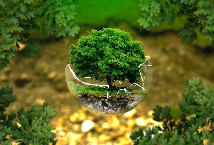 2025年中央預(yù)算內(nèi)投資專(zhuān)項(xiàng)補(bǔ)貼——綠色低碳先進(jìn)技術(shù)示范項(xiàng)目 2025年中央預(yù)算內(nèi)投資專(zhuān)項(xiàng)補(bǔ)貼——綠色低碳先進(jìn)技術(shù)示范項(xiàng)目